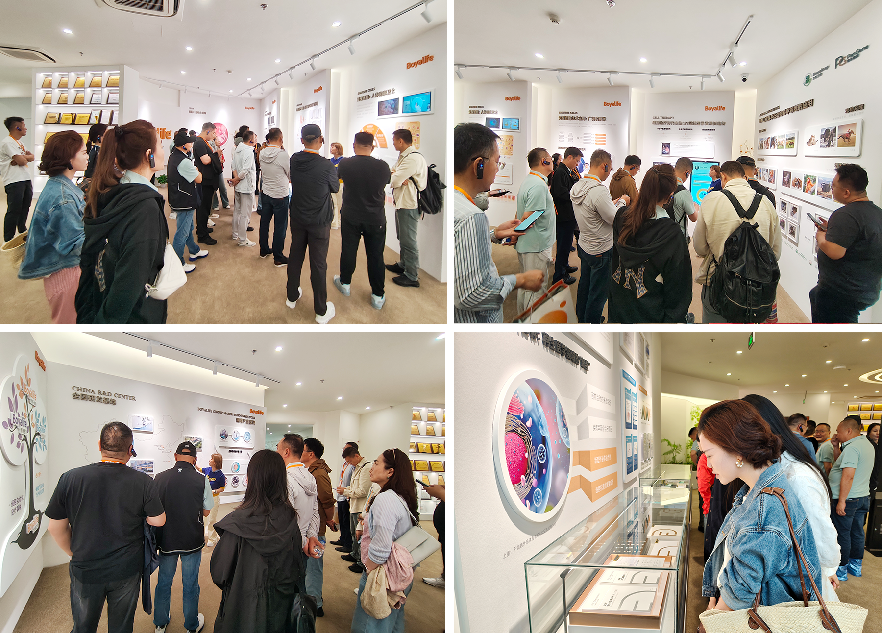 展厅参观3.png